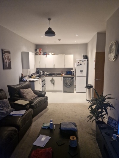 2 Bedroom flat council house exchange photo