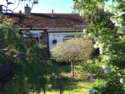 Lovely private 2 bed Bungalow village of Alton Staffordshire looking for Shetlands  photo