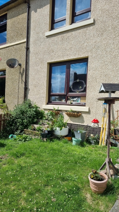 2 Bed in WL looking for 2/3 bed in NL  photo