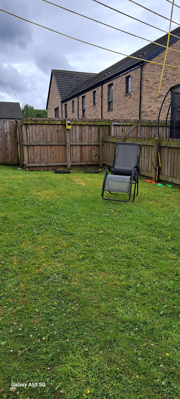 2 bedroom house In Balornock Wants 3 bedroom house In Barmulloch