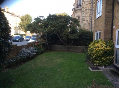 1 bedroom flat wants 2/3 property