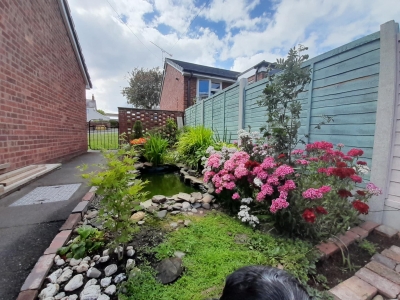 Beautiful 1 bedroom bungalow, Shropshire 